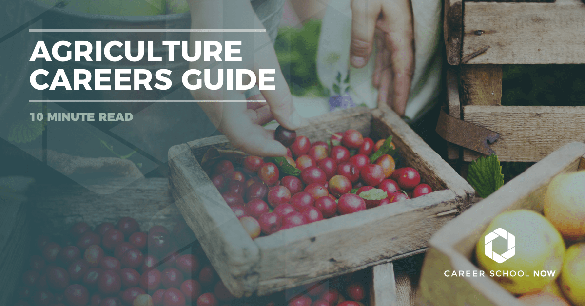 Different Agriculture Careers Find Out About Education, Jobs & Salary